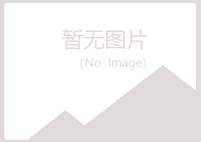 北京女孩音乐有限公司